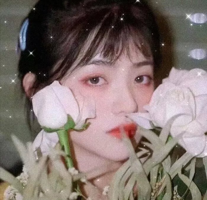 长尾豹马修海报